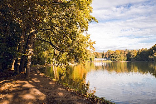 Adenauer Weiher | Die Kölner Parkweiher