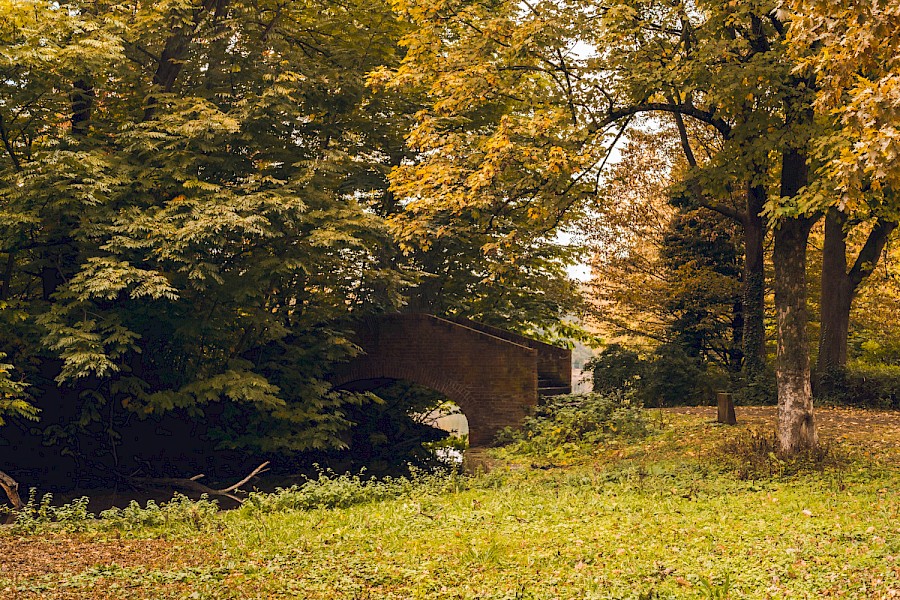 Gemauerte Brücke zwischen Bäumen am Stadtwaldweiher
