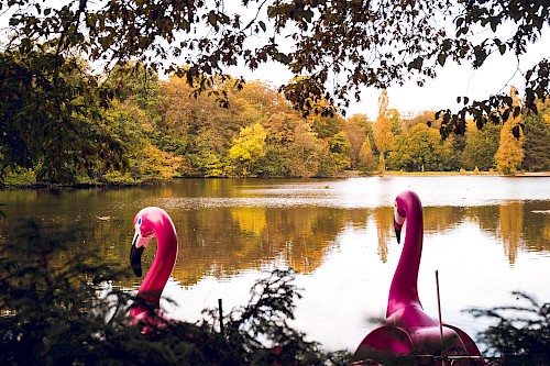 Stadtwaldweiher | Die Kölner Parkweiher