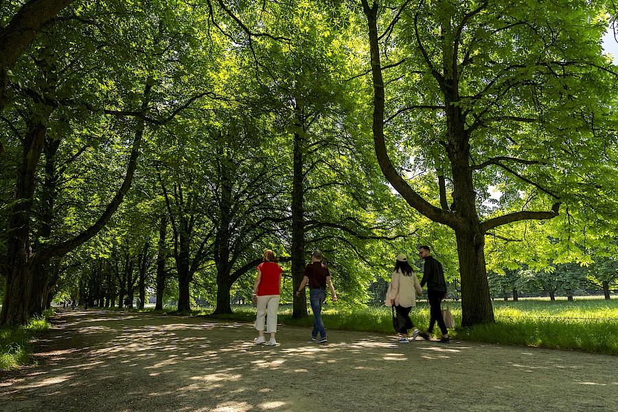 Besonders an heißen Sommertagen lädt die schattige Kastanienallee zu einem erfrischenden Spaziergang ein. | Die Kölner Parkweiher – Nicht nur für Freund*innen des Rudersports
