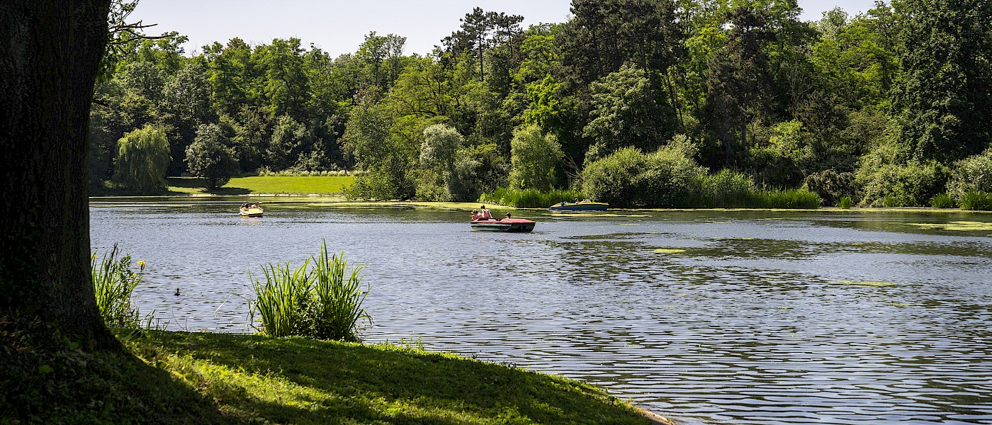 Blick durch die Bäume auf drei Tretboote am Kalscheurer Weiher