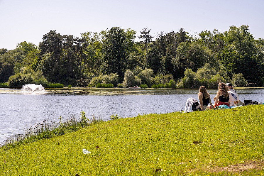 Drei Personen sitzen in der Sonne am Ufer des Kalscheurer Weihers