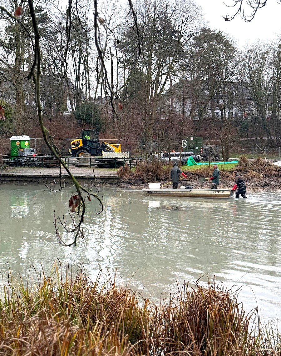Arbeiter mit einem Boot bei der Sanierung des Klettenbergpark­weihers