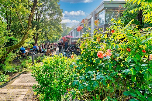 Mülheimer Stadtgartenweiher | Die Kölner Parkweiher