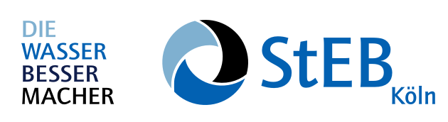 STEB Logo
